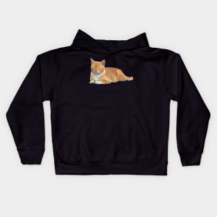 Sleepy Kitty Kids Hoodie